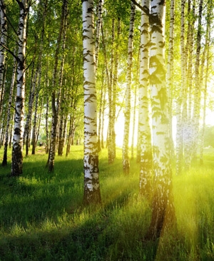 Energy of the Day July 18-24, 2011