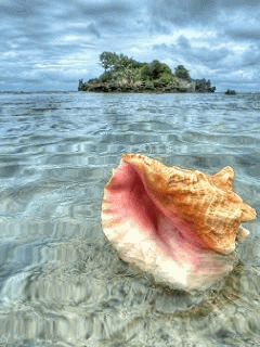 Energy of the Day July 25-31, 2011