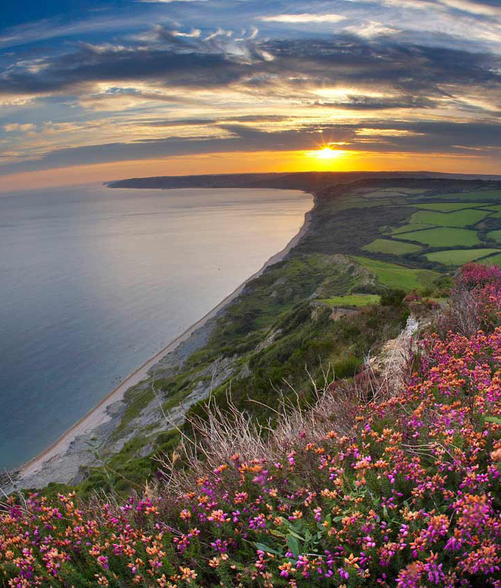 Energy of the Day July 4-10, 2011